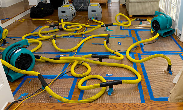 Professional Sewage Cleanup technician working in Shirley, MA